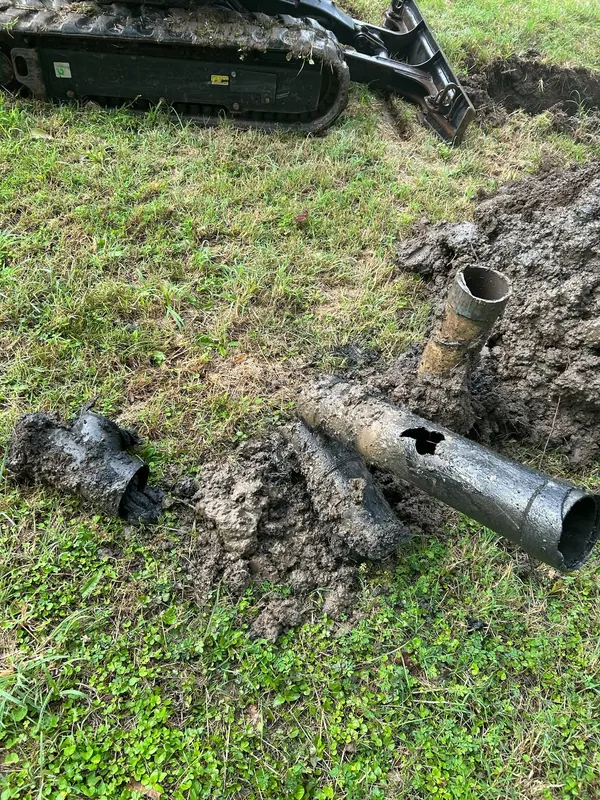 Sections of old, root-damaged pipe removed from the ground